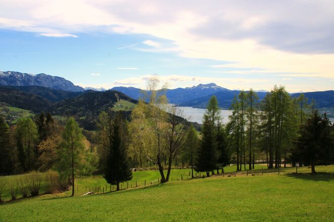 Zarte Farben des Frühlings