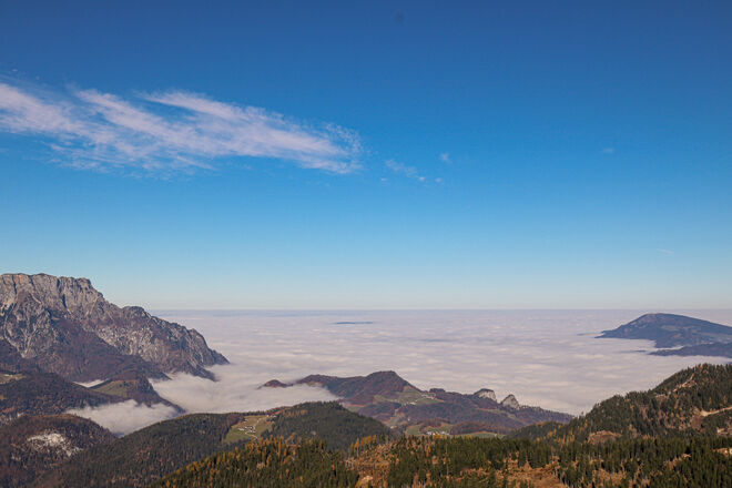 Nebel so weit das Auge reicht...