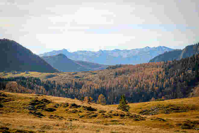 Die wunderbaren Farben des Herbst