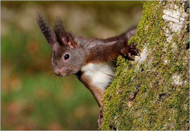 * kommt da schon der Frühling *