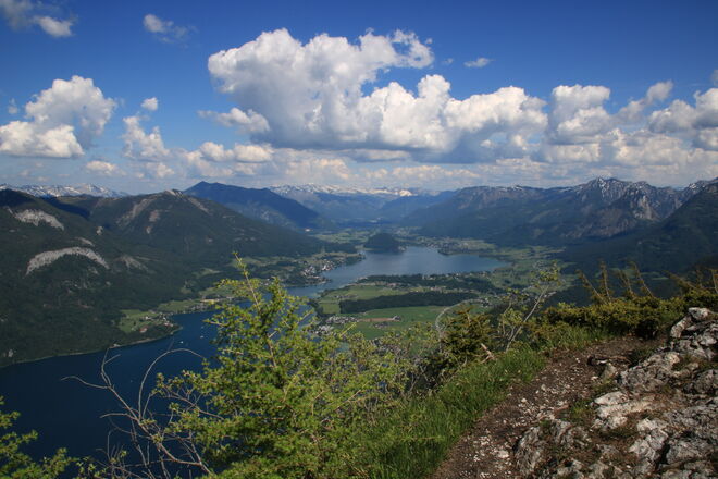 Blick auf den unteren Wolfgangsee