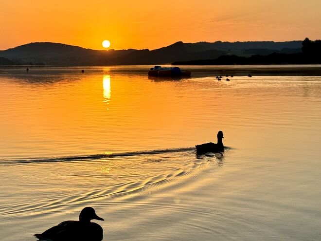 #wallersee_am_morgen