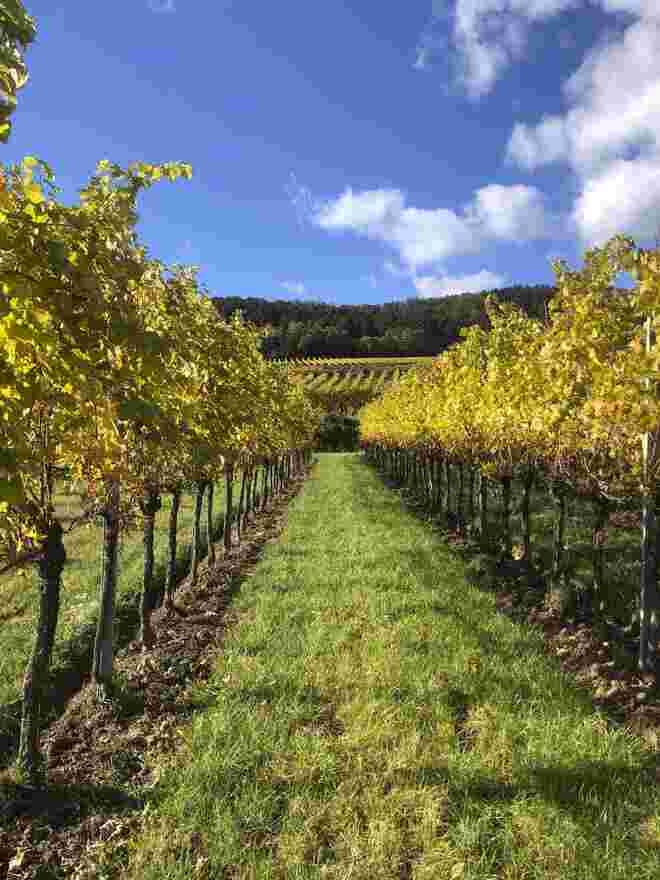 Abschied vom Herbst