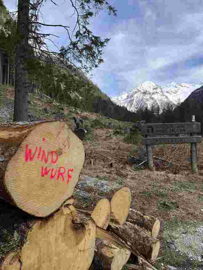 Windwurf beseitigt
