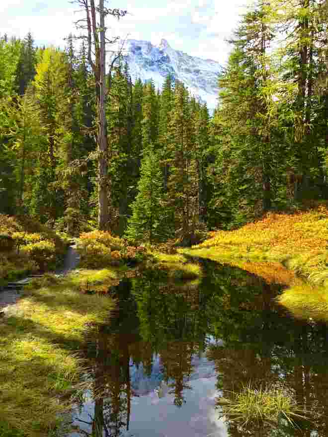 Moorlacke mit Blick auf den Sonnblick