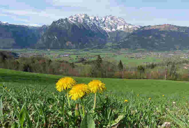 Ausblicke