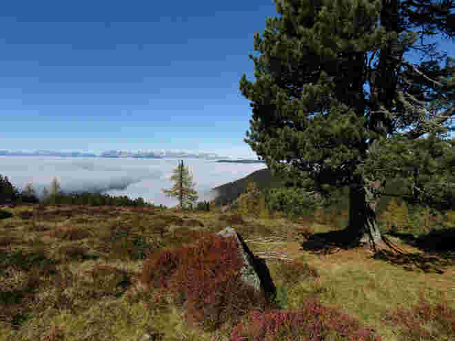 Herbstfarben und Nebelmeer