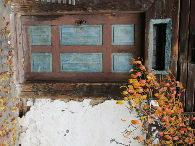 Herbst am Hammerergütl