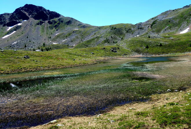 Die Farben des verlandenden Rosanin-Sees