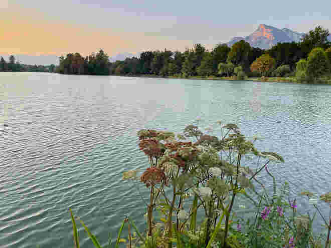 Weihermorgen