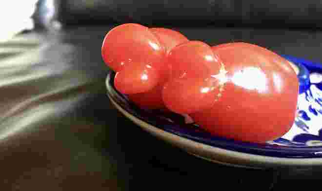 Küssende Tomaten 
