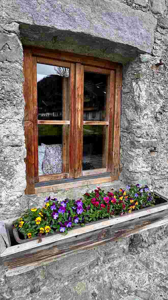 alte Mauern , frische Blumen 