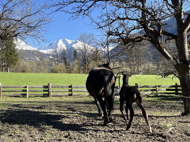 2 Wochen nach der Geburt…..