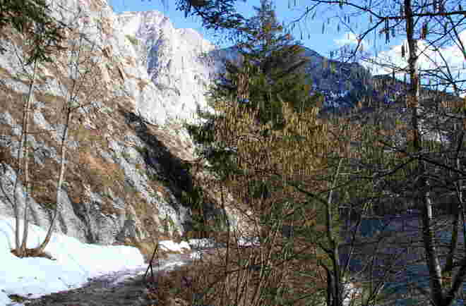 Wegerl - Impression
