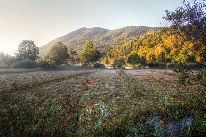 Im Naturschutzgebiet "Fuschlsee" heute früh bei Sonnenaufgang