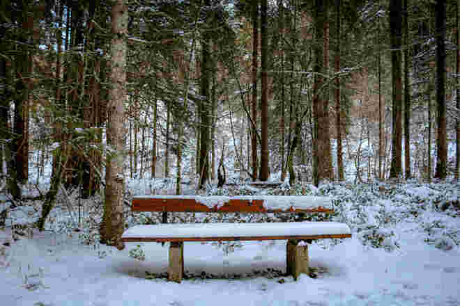 Erster Schnee...