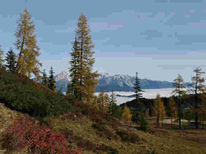 Farbenpracht