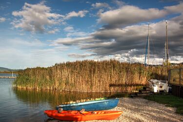 Bunte Boote- beleuchtet von der Abendsonne am Wallersee