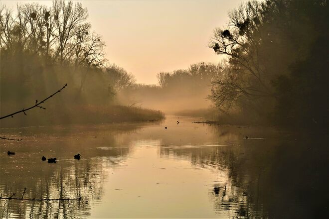 Morgen am Lusthauswasser