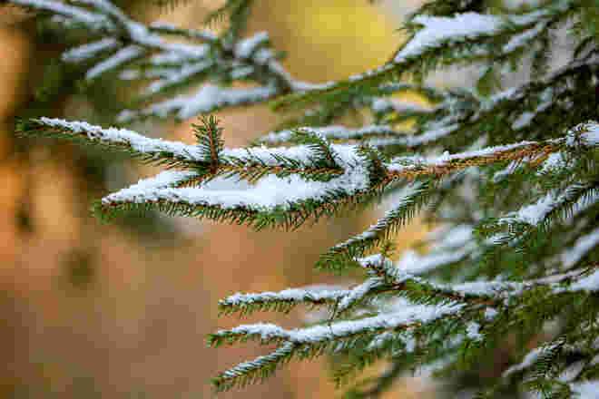Wintersonne...