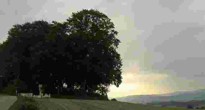 Morgenstimmung