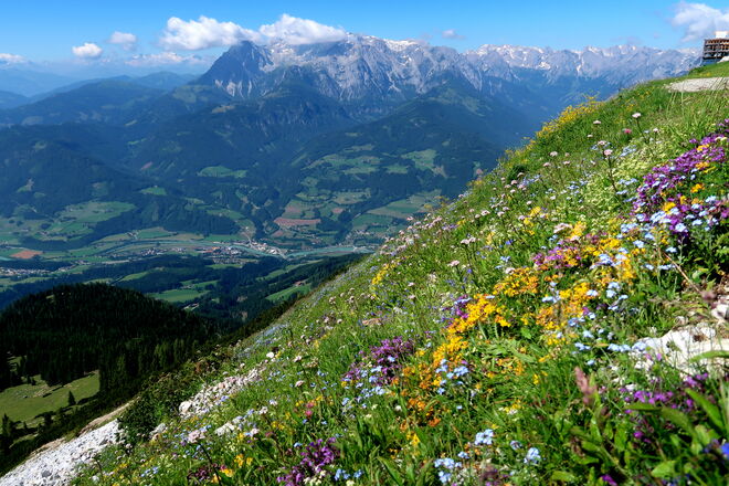 Ein Blick ins Salzachtal 