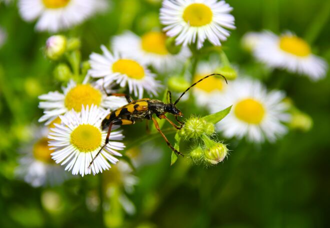 Der Spagat ist gelungen