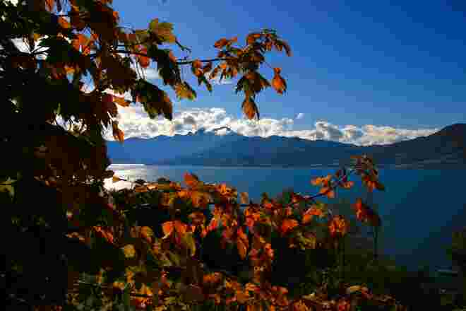 Buntes Herbstlaub erfreut