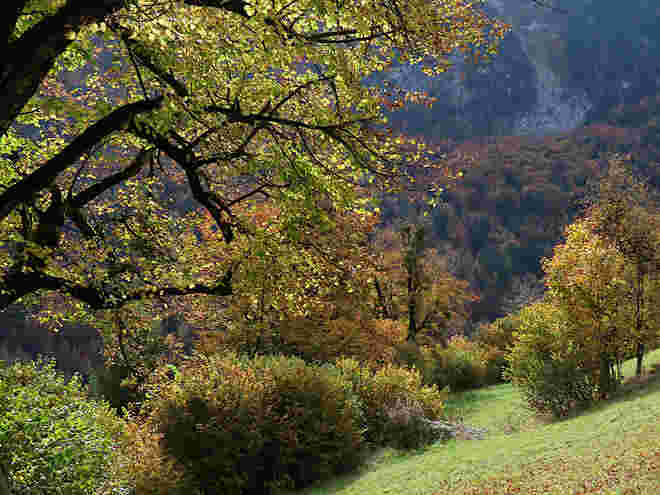 Herbstleuchten