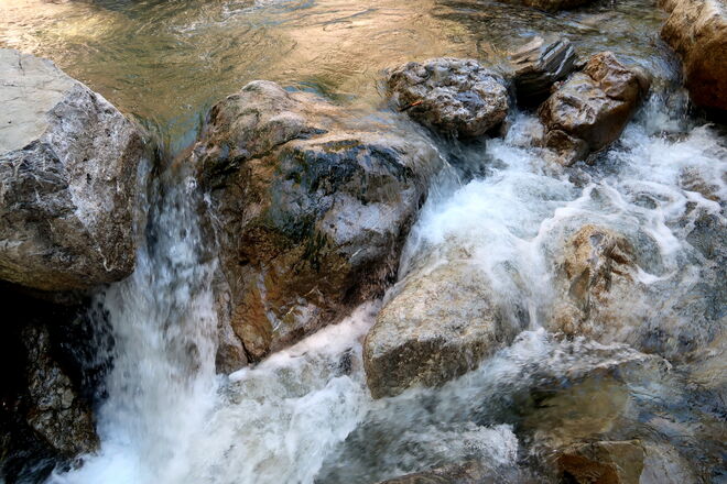 Wasser ist "Goldes Wert"