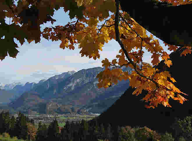 Blick nach Golling