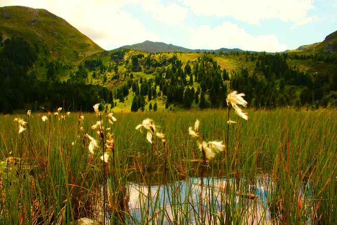 Ein Sonnenfenster am kleinen Winterleitensee