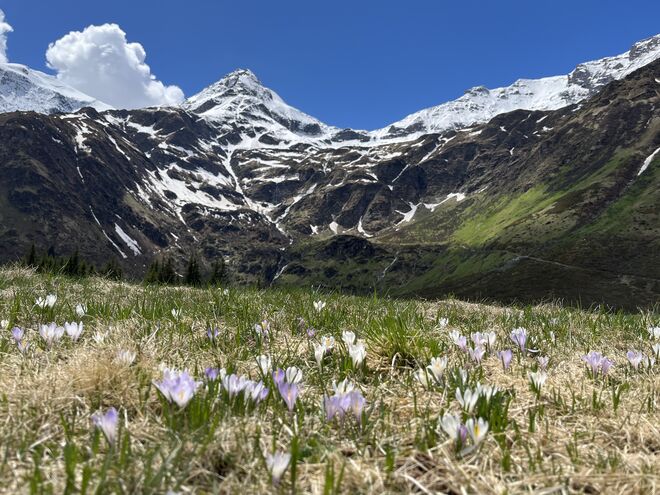 Frühling auf 1600 m Seehöhe