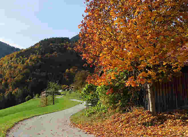Herbstbild