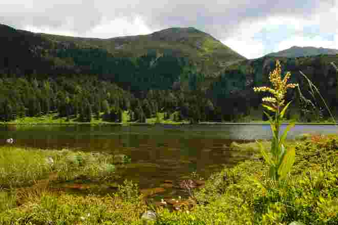 Sommer am großen Winterleitensee