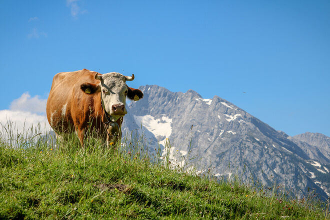 Heißer Tag heute...:)