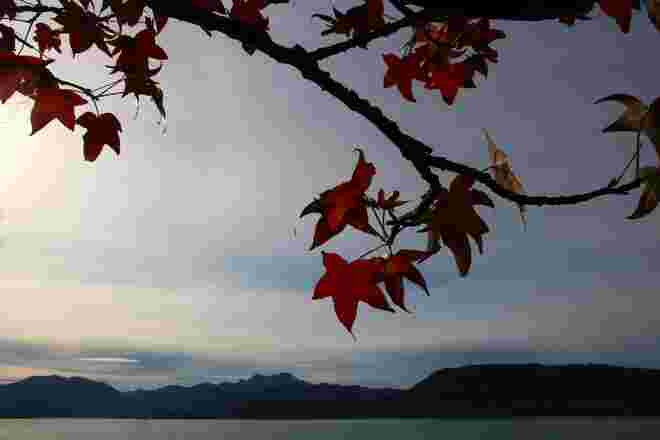 November-Sturmhimmel