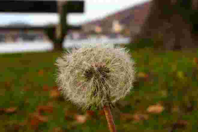 November-Impression