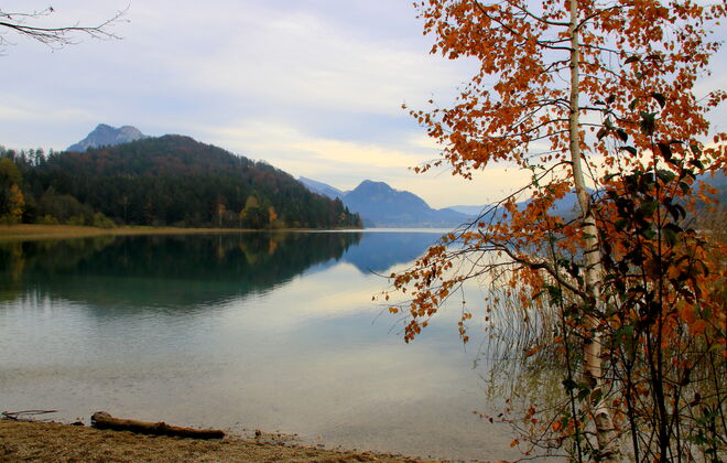 Herbstlicher Blick über den Fuschlsee