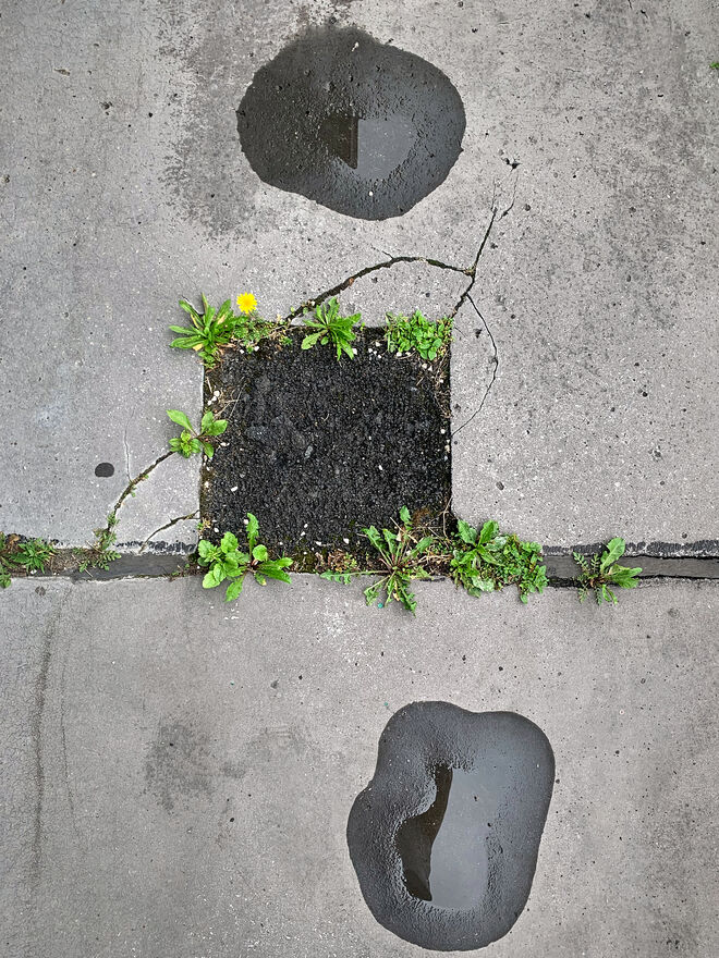 Praktisch, quadratisch, gut  ;  )