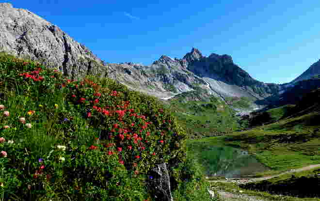 "Alm-Rausch-Blick" zum Zaunersee