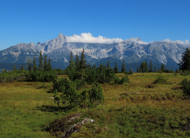 Blick zum Dachstein