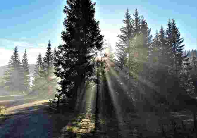 am Prebersee
