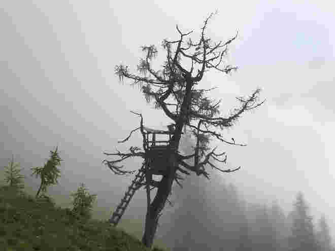 Hochstand in den Wolken