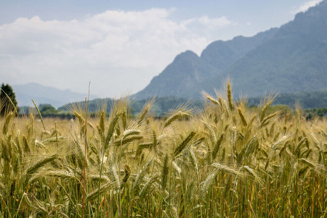 Vor der Haustür...Untersberg wieder ohne Schnee...:)