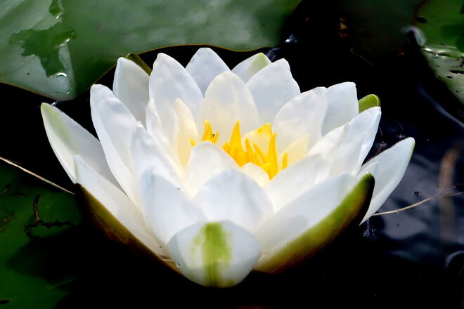 Aus der Dunkelheit ans Licht 