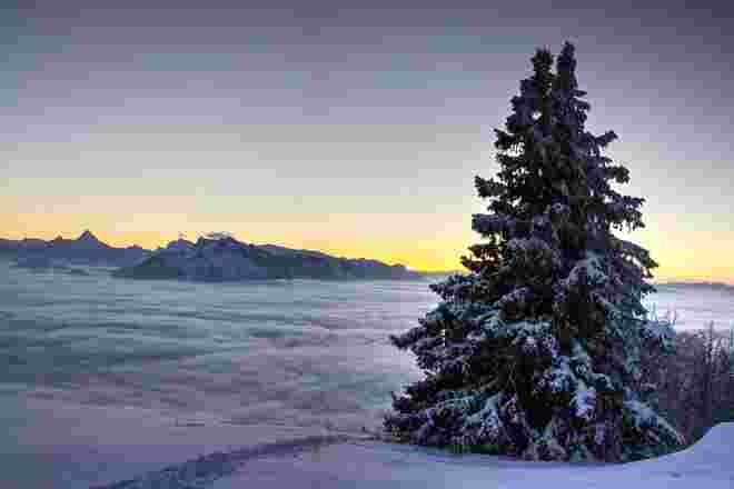 Sonnenuntergang mit Nebelmeer am Gaisberg