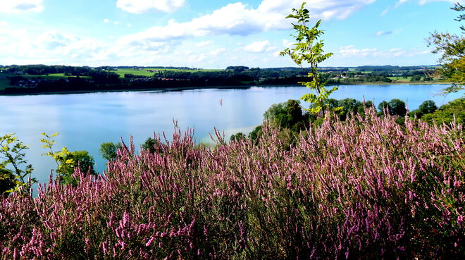 Blick auf den Obertrumer See