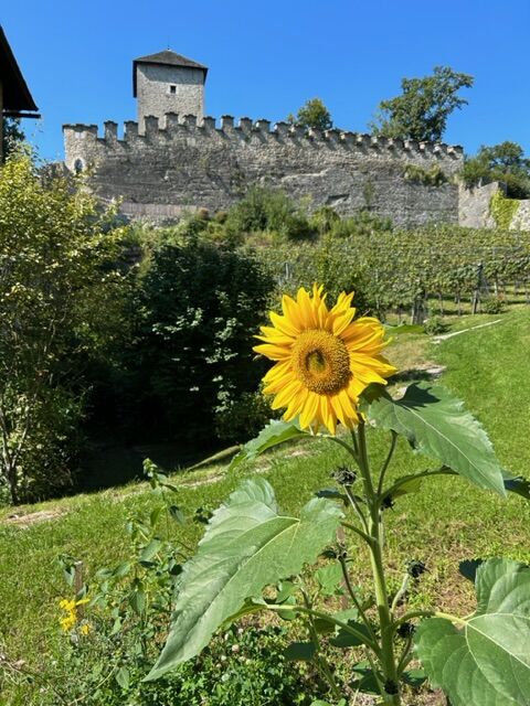 Blick hinauf zur Richterhöhe
