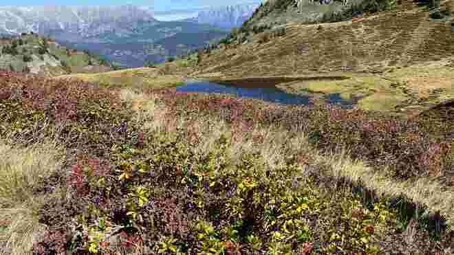 Der Herbst zieht ins Land